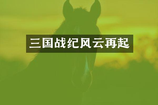 三国战纪风云再起