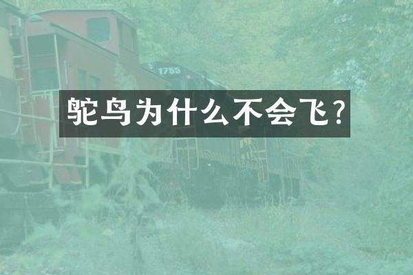 鸵鸟为什么不会飞?