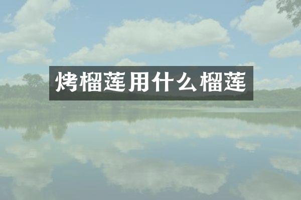 烤榴莲用什么榴莲
