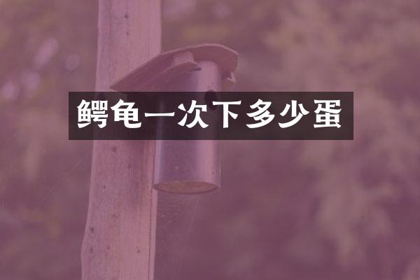 鳄龟一次下多少蛋