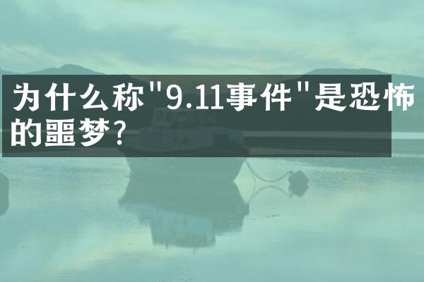 为什么称"9.11事件"是恐怖的噩梦?