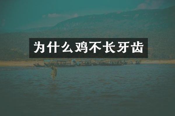 为什么鸡不长牙齿