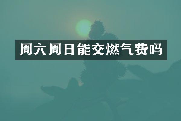 周六周日能交燃气费吗
