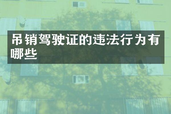 吊销驾驶证的违法行为有哪些