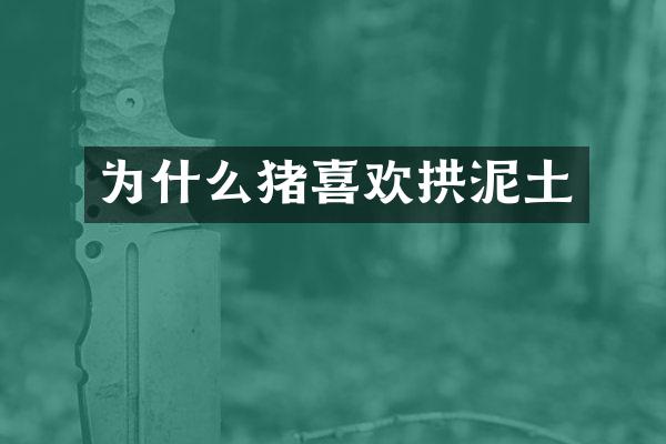 为什么猪喜欢拱泥土
