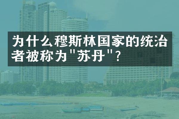 为什么穆斯林国家的统治者被称为"苏丹"?