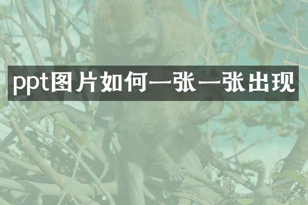 ppt图片如何一张一张出现