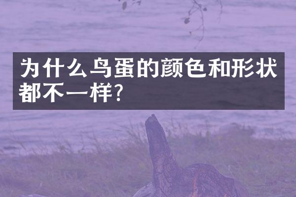 为什么鸟蛋的颜色和形状都不一样？