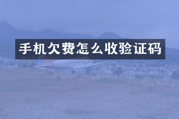 手机欠费怎么收验证码