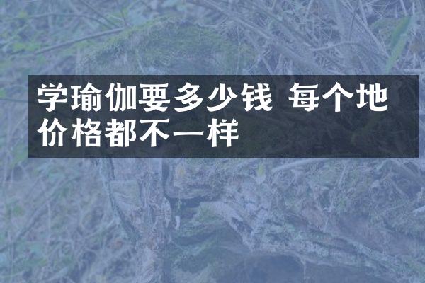 学瑜伽要多少钱 每个地方价格都不一样