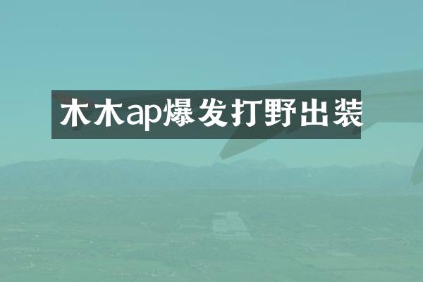 木木ap爆发打野出装