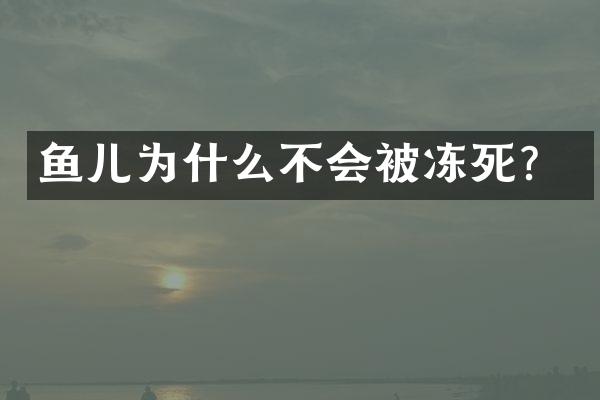 鱼儿为什么不会被冻死？