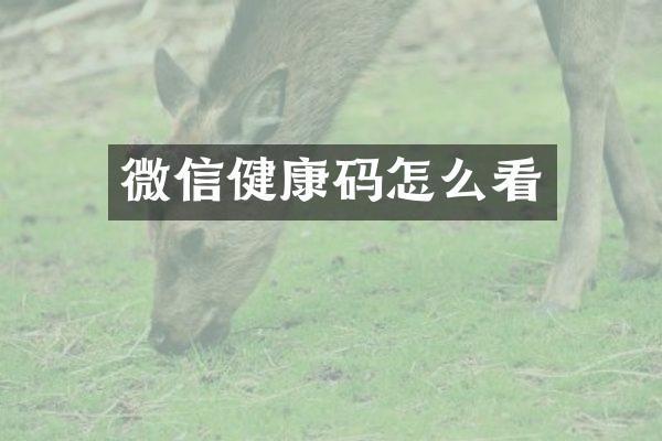 微信健康码怎么看