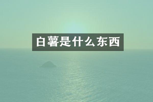 白薯是什么东西