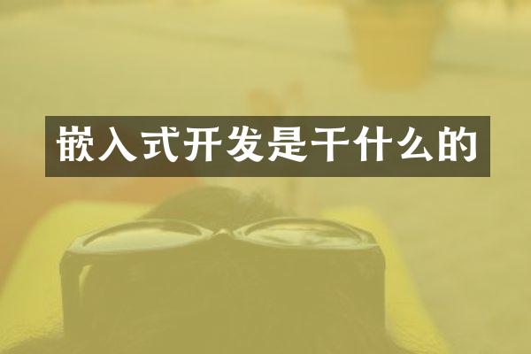 嵌入式开发是干什么的