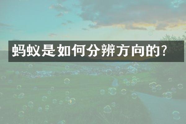 蚂蚁是如何分辨方向的？