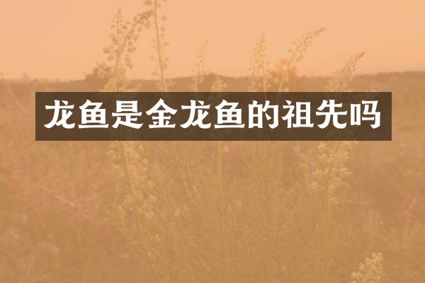 龙鱼是金龙鱼的祖先吗