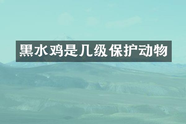 黑水鸡是几级保护动物