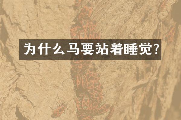 为什么马要站着睡觉?