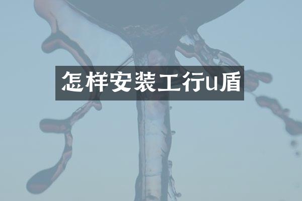 怎样安装工行u盾