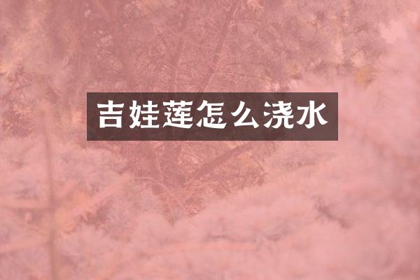 吉娃莲怎么浇水