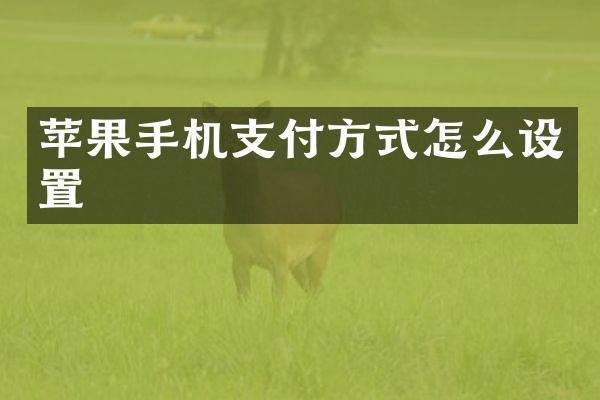 苹果手机支付方式怎么设置