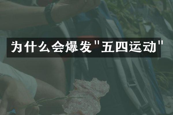 为什么会爆发"五四运动"