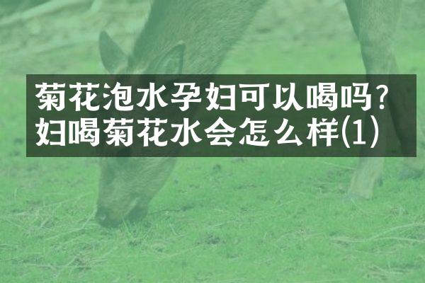 菊花泡水孕妇可以喝吗?孕妇喝菊花水会怎么样(1)
