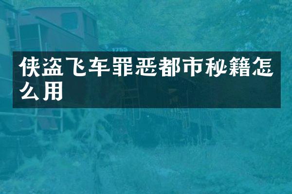 侠盗飞车罪恶都市秘籍怎么用