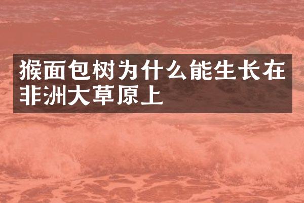 猴面包树为什么能生长在非洲大草原上