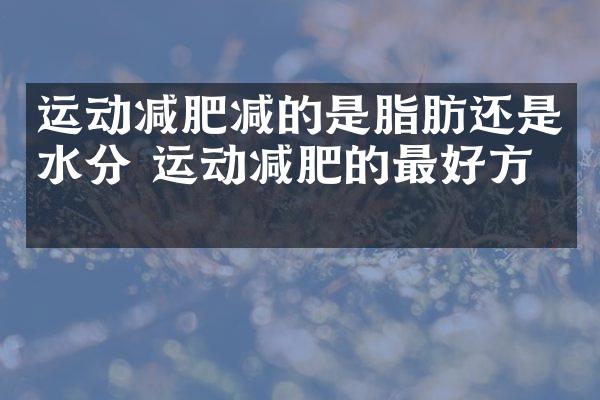 运动减肥减的是脂肪还是水分 运动减肥的最好方法