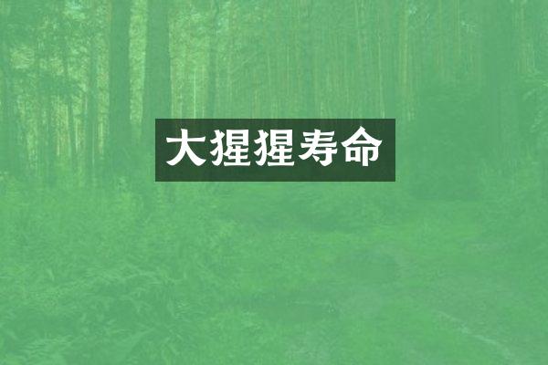 大猩猩寿命