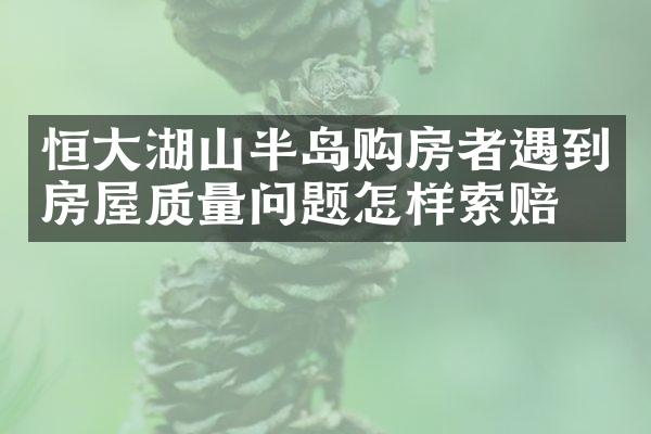 恒大湖山半岛购房者遇到房屋质量问题怎样索赔