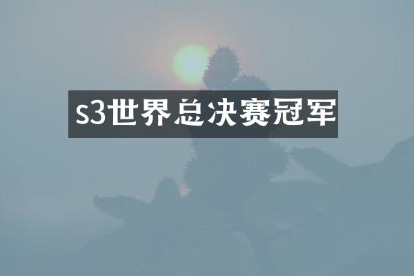 s3世界总决赛冠军