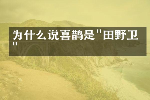 为什么说喜鹊是"田野卫士"