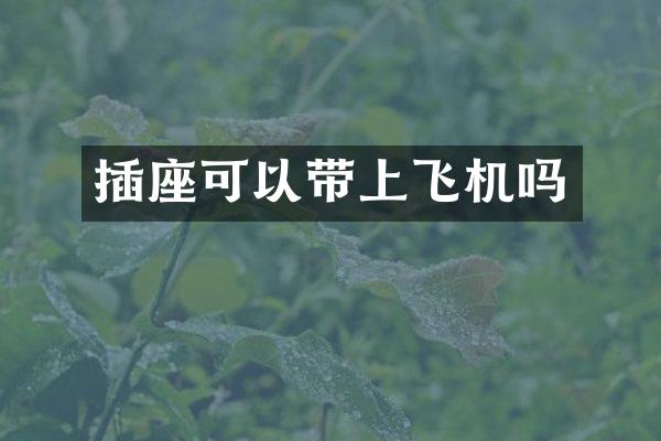 插座可以带上飞机吗
