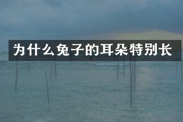 为什么兔子的耳朵特别长