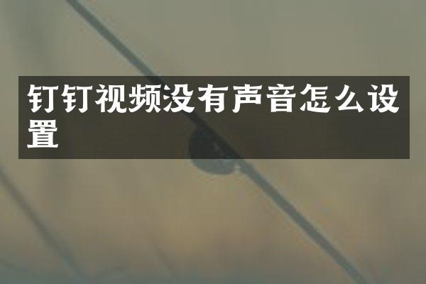 钉钉视频没有声音怎么设置