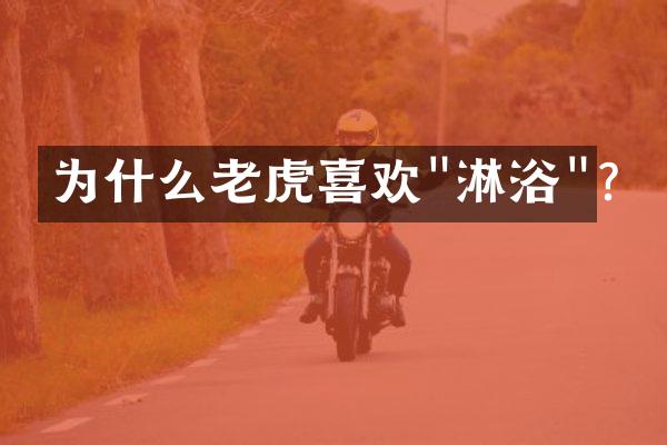 为什么老虎喜欢"淋浴"?