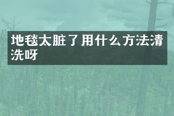 地毯太脏了用什么方法清洗呀