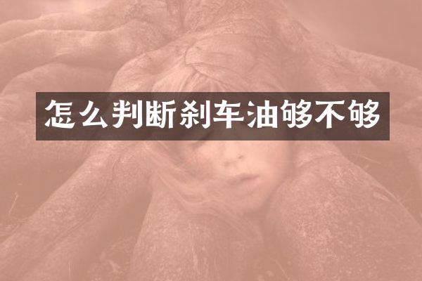 怎么判断刹车油够不够