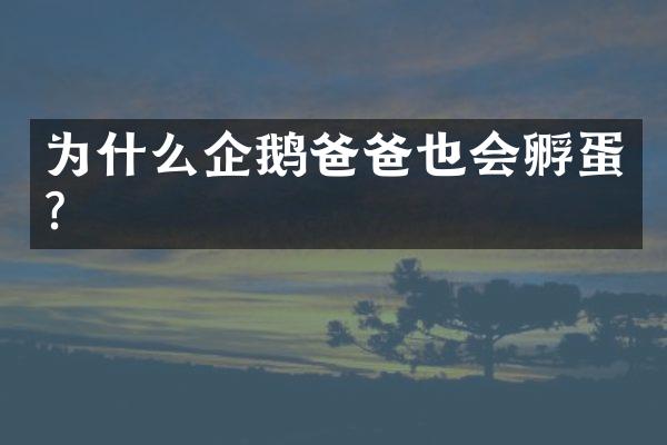 为什么企鹅爸爸也会孵蛋?