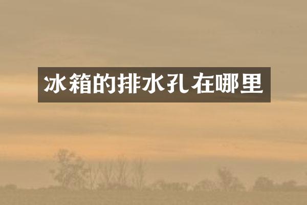 冰箱的排水孔在哪里