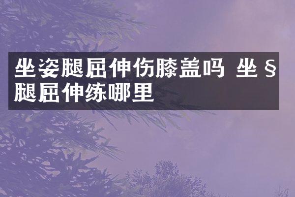 坐姿腿屈伸伤膝盖吗 坐姿腿屈伸练哪里