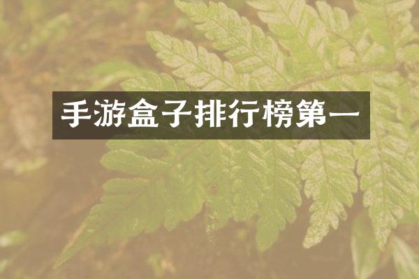手游盒子排行榜第一