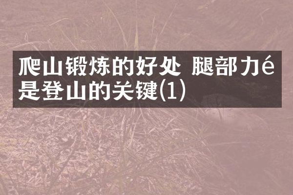 爬山锻炼的好处 腿部力量是登山的关键(1)