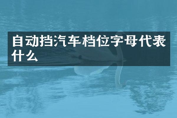 自动挡汽车档位字母代表什么