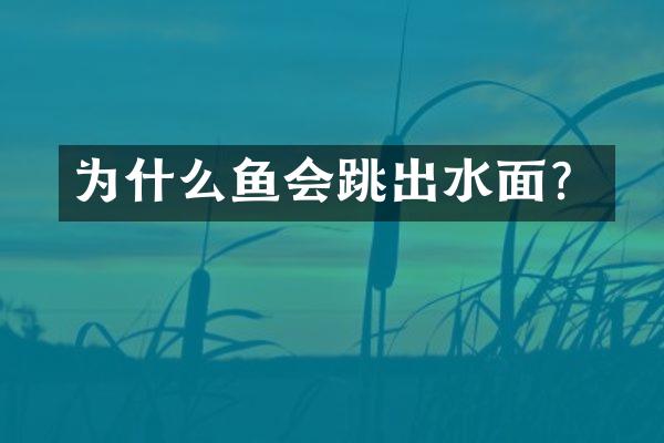 为什么鱼会跳出水面？
