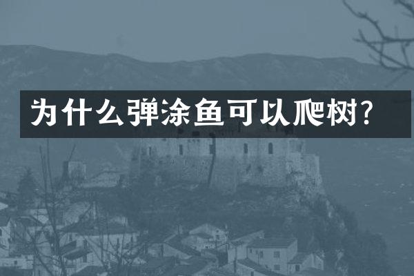 为什么弹涂鱼可以爬树？