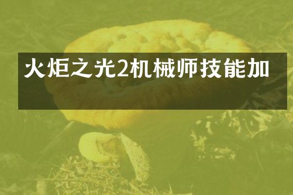 火炬之光2机械师技能加点